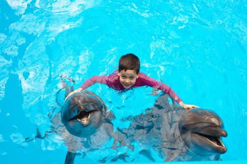 3 night Cruises to Grand Bahamas | Freeport Grand Bahama Swim with the Donlphins | 3 Night Cruises Freeport Grand Bahama Swim with the Dolphins